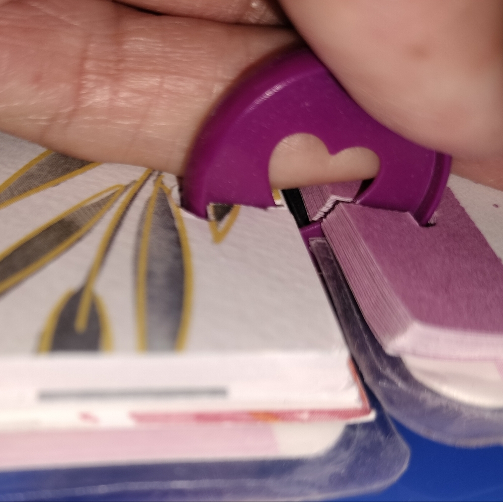 Floral Spiral PRAYER JOURNAL with Inspirational Quote - Picture 11 of 14